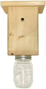 Carpenter Bee Trap 