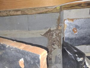 Termites & Crawlspace Encapsulation, Termite Infestation, Termite Control, Termites