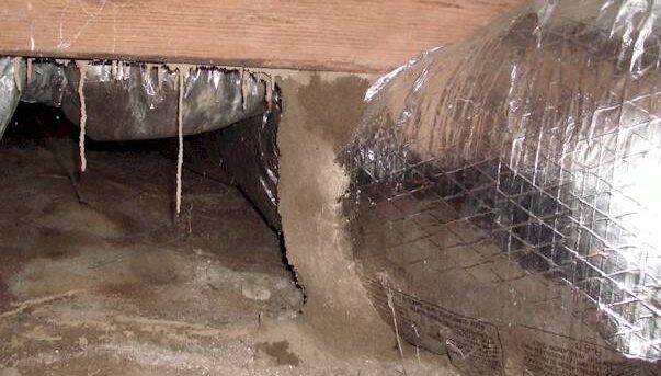 Termite Damage, Termite Treatment, Termite Control, Termites, Termite Estimate Eastern Subterranean Termites, Pest Control Greenville NC, Termite Baiting